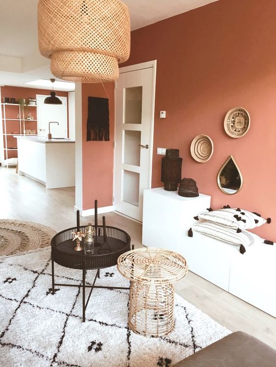 Foyer with Terracotta Wall and Cozy Decor