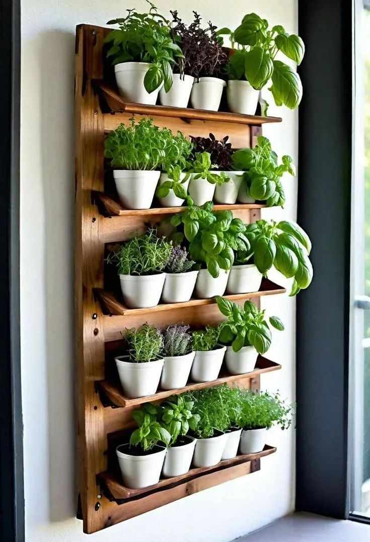 Balcony Garden with Tiered Plant Shelves
