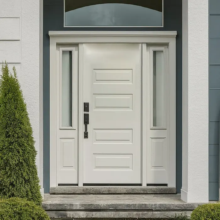 Classic White Front Door Framed with Black Hardware