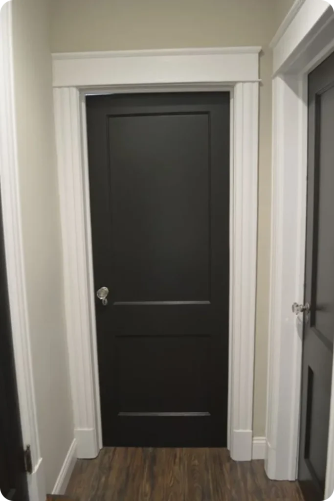 Deep Charcoal Door with Minimalist Accents