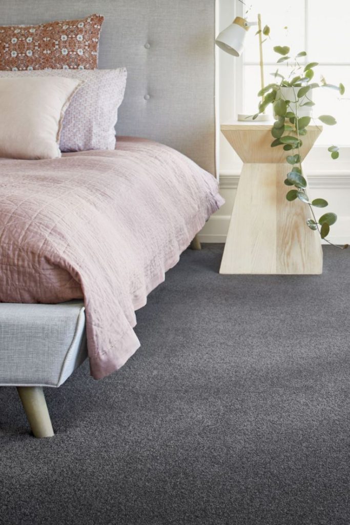 Luxurious Beige Carpet with Cream Accents