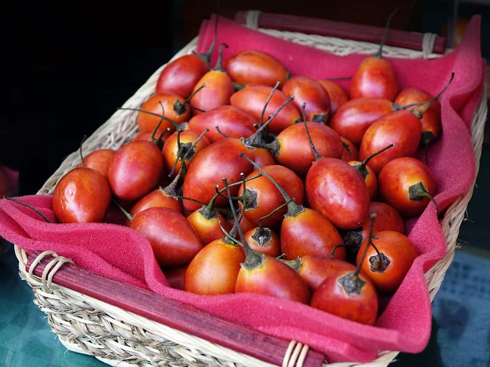 Tamarillo Sliced to Reveal Vibrant Pulp