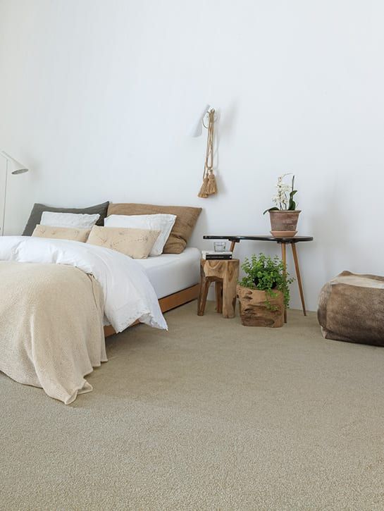 Modern Bedroom with Textured Neutral Carpet