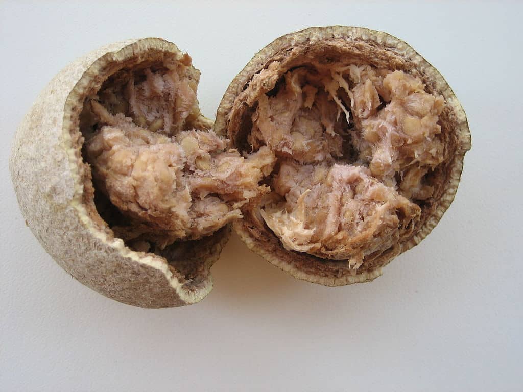 Wood Apple with Its Rustic, Textured Rind