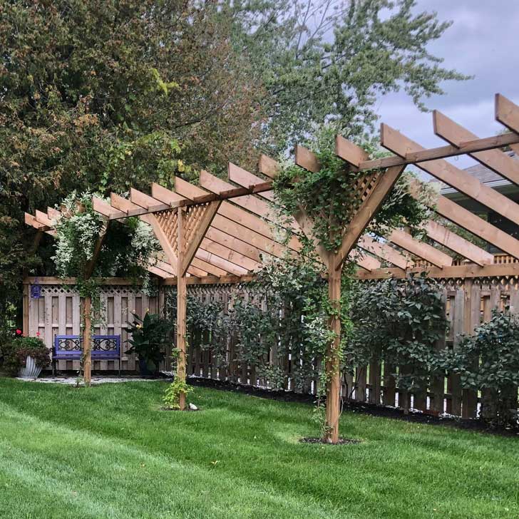 Elegant Fence Extension with Climbing Vines