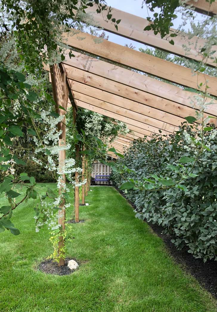 Fence Extension with Cascading Vines