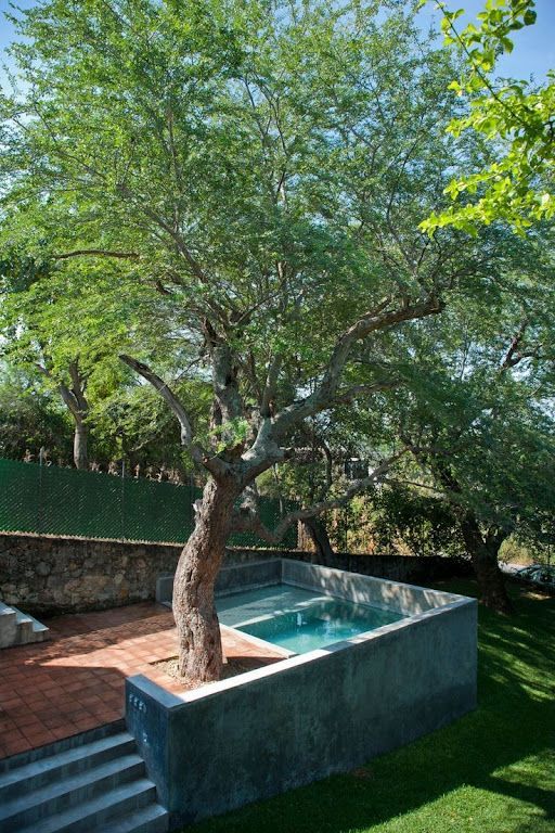 Urban Serenity in Compact Spaces