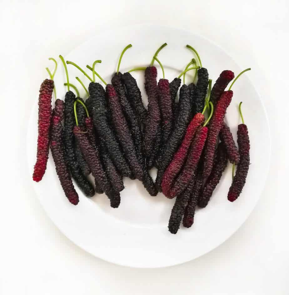 Mulberries with a Crimson Hue