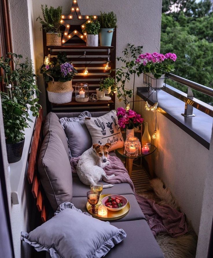 Minimalist Balcony with Sleek Plant Shelves